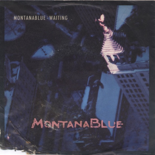 Vinyl / Montanablue - Waiting