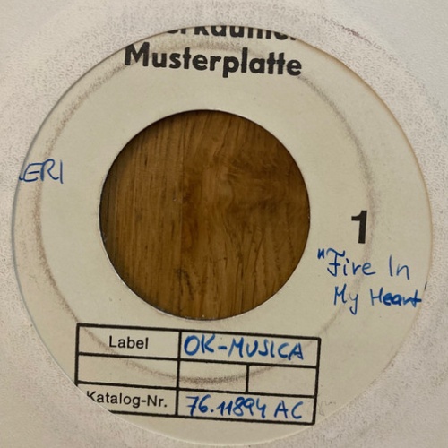 Vinyl / Bilgeri - Fire In My Heart