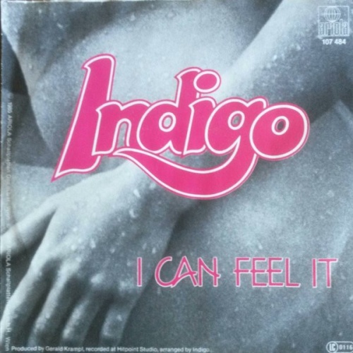 Vinyl / Indigo (27) - I Can Feel It