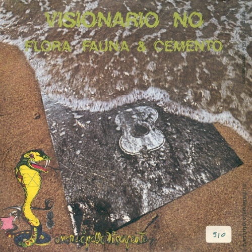 Vinyl / Flora Fauna & Cemento - Visionario No