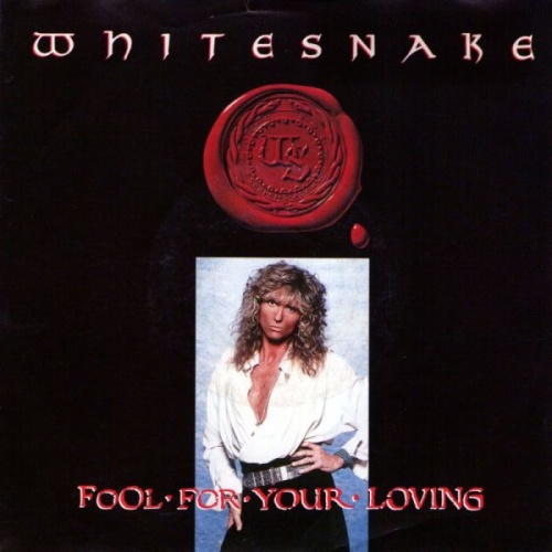 Vinyl / Whitesnake - Fool For Your Loving