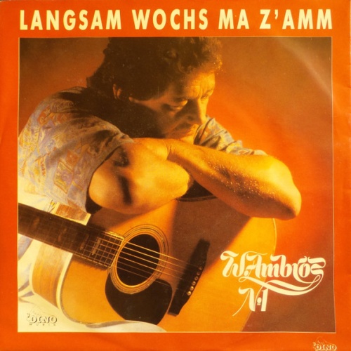 Vinyl / W. Ambros*, № 1* - Langsam Wochs Ma Z'amm