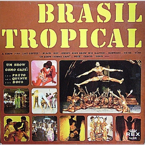 Vinyl / Brasil Tropical - Brasil Tropical