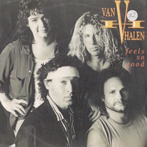 Vinyl / Van Halen - Feels So Good