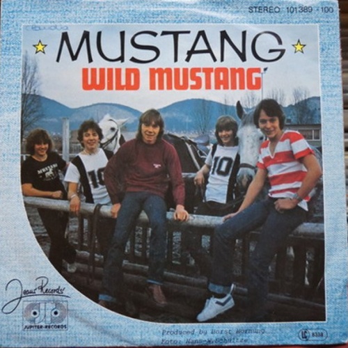 Vinyl / Mustang (19) - Wild Mustang