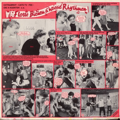 Vinyl / Various - Flotte Bienen & Heisse Rhythmen