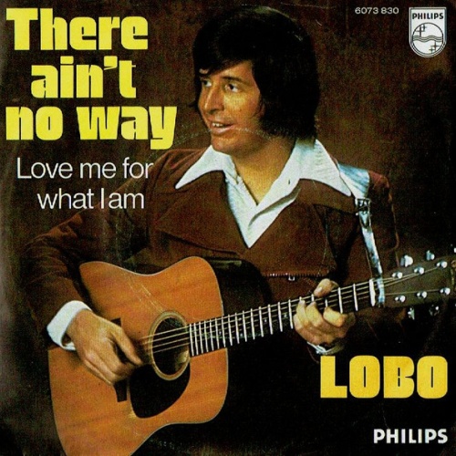 Vinyl / Lobo (3) - There Ain't No Way / Love Me For What I Am