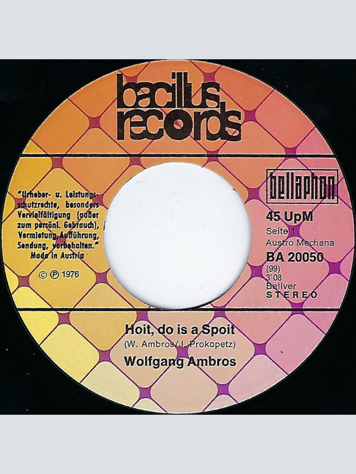 Vinyl / W. Ambros* - Hoit, Do Is A Spoit