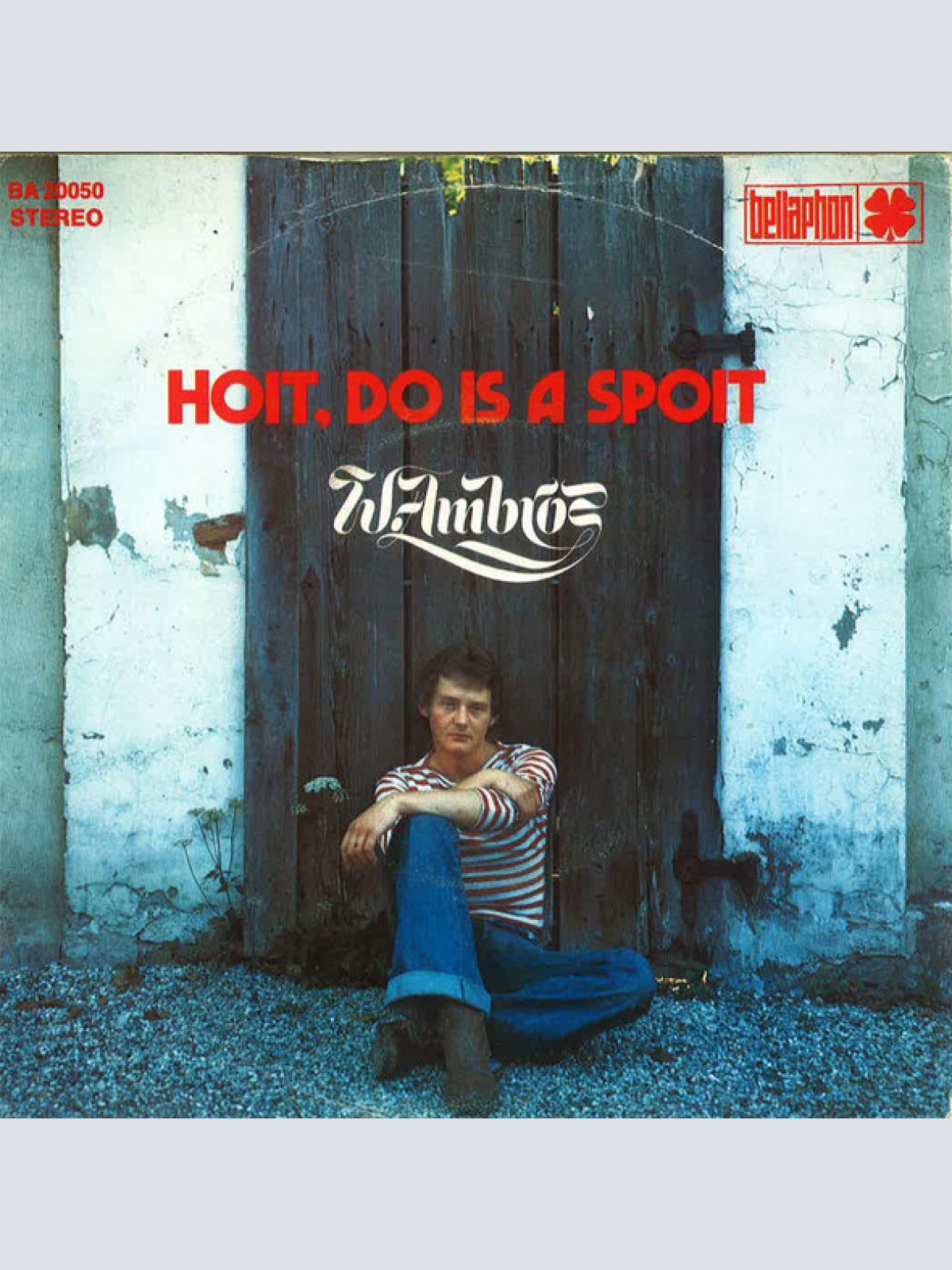 Vinyl / W. Ambros* - Hoit, Do Is A Spoit
