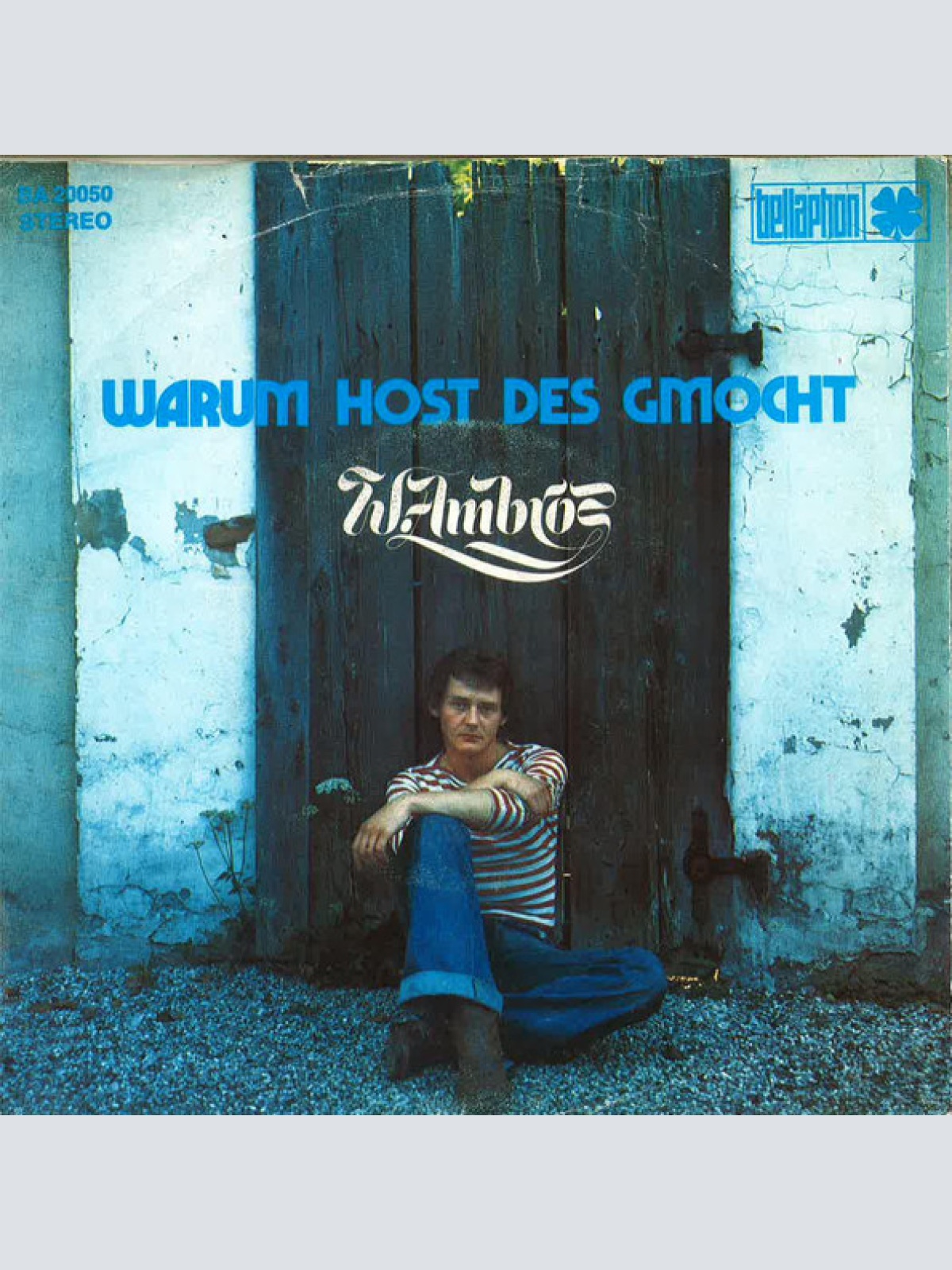 Vinyl / W. Ambros* - Hoit, Do Is A Spoit