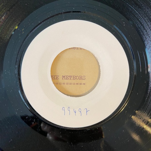 Vinyl / Max Merritt And The Meteors - Slipping Away