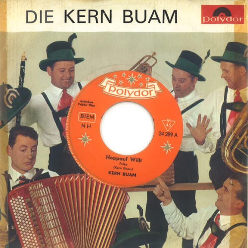 Vinyl / Die Kern Buam - Hoppauf Willi