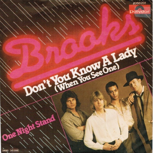 Vinyl / Brooks (12) - Don't You Know A Lady (When You See One)