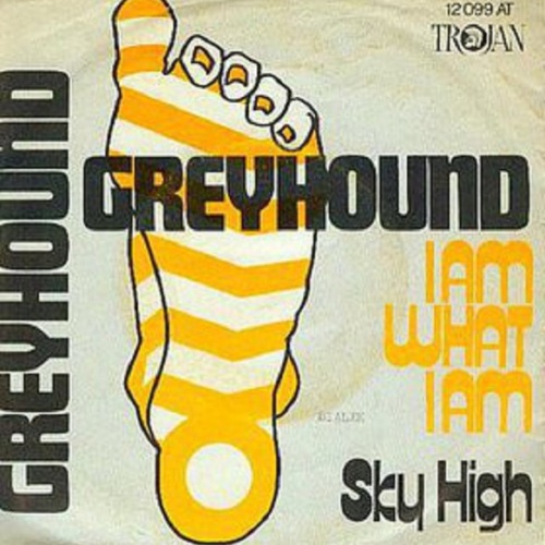 Vinyl / Greyhound (4) - I Am What I Am