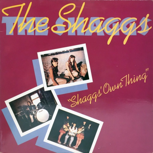 Vinyl / The Shaggs - "Shaggs' Own Thing"