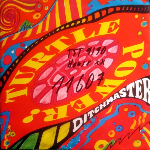 Vinyl / Ditchmaster - Turtle Power