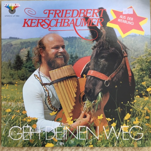 Vinyl / Friedbert Kerschbaumer - Geh Deinen Weg