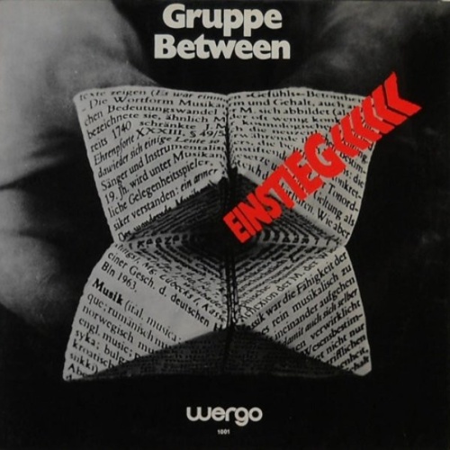 Vinyl / Gruppe Between* - Einstieg