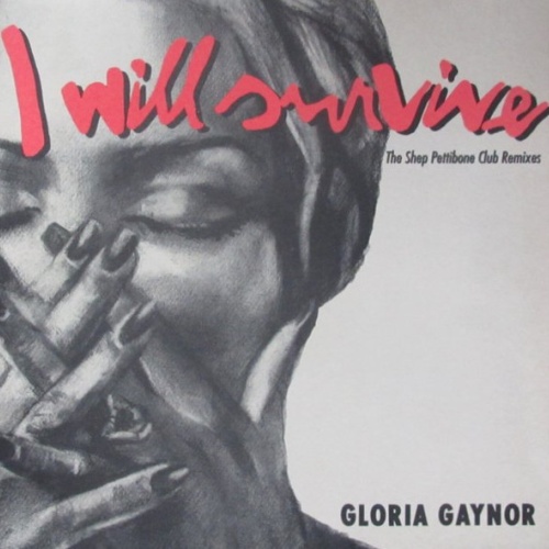 Vinyl / Gloria Gaynor - I Will Survive (The Shep Pettibone Club Remixes)