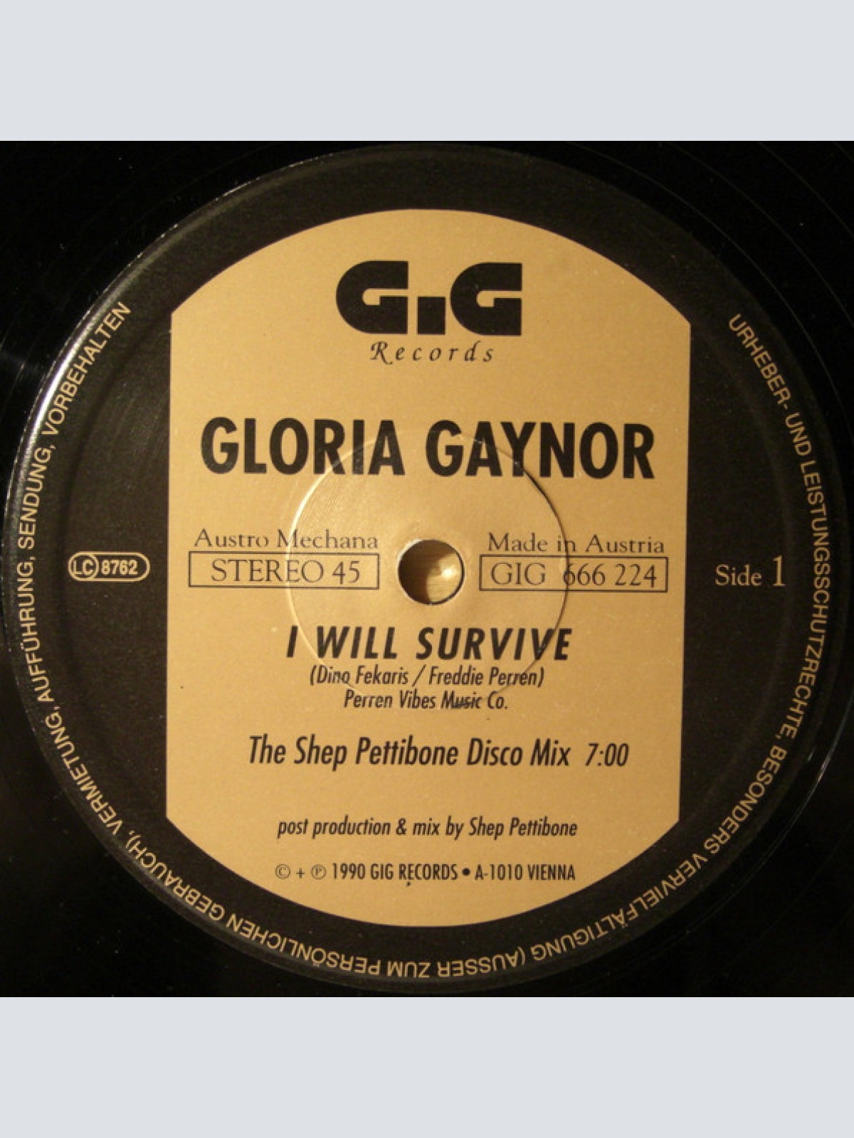 Vinyl / Gloria Gaynor - I Will Survive (The Shep Pettibone Club Remixes)