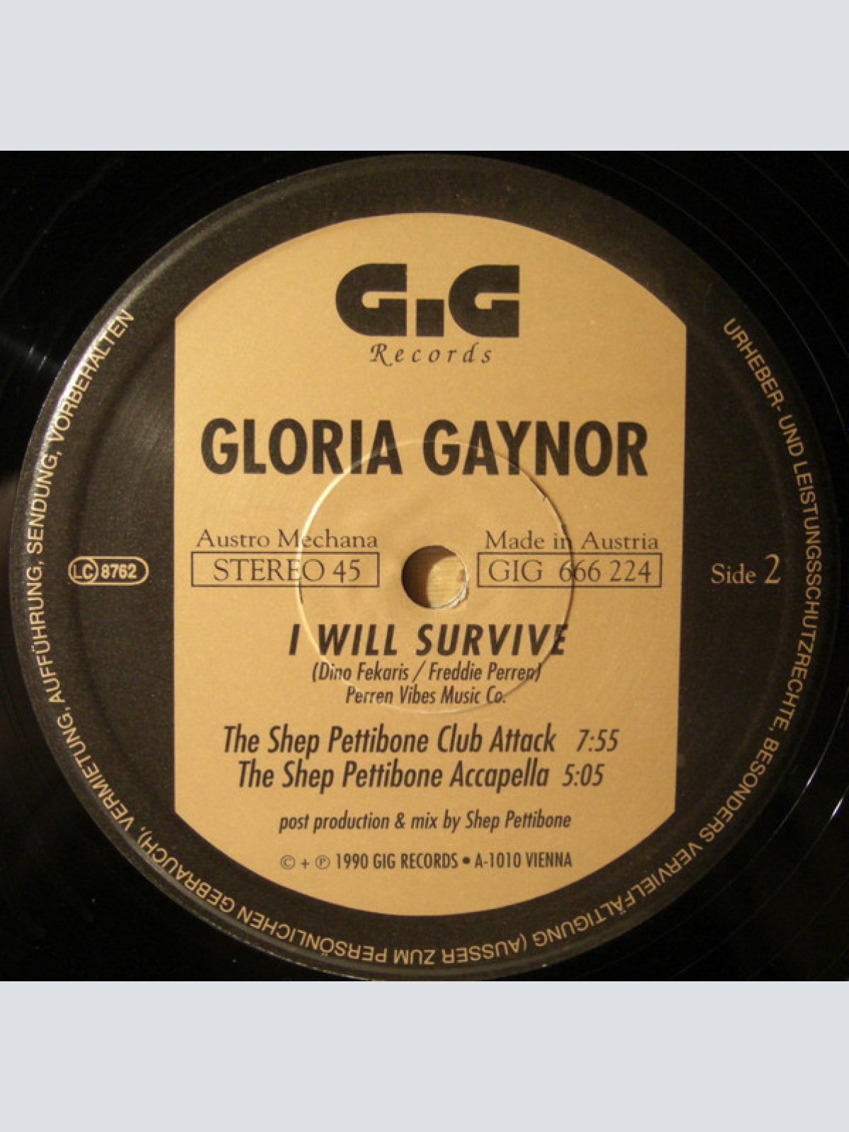 Vinyl / Gloria Gaynor - I Will Survive (The Shep Pettibone Club Remixes)