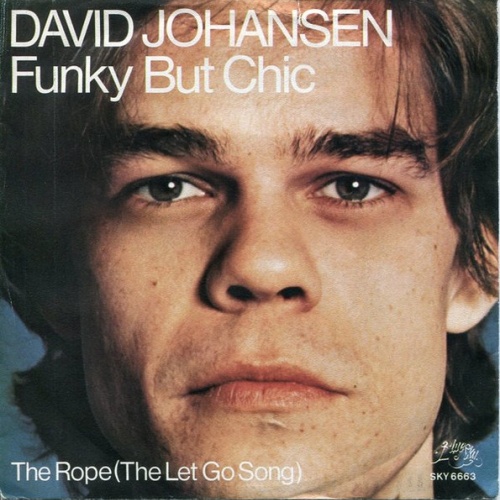 Vinyl / David Johansen - Funky But Chic