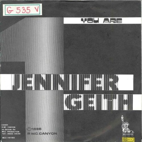 Vinyl / Jennifer Geith - You Are