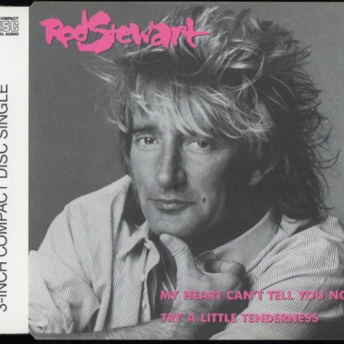 CD / Rod Stewart - My Heart Can't Tell You No
