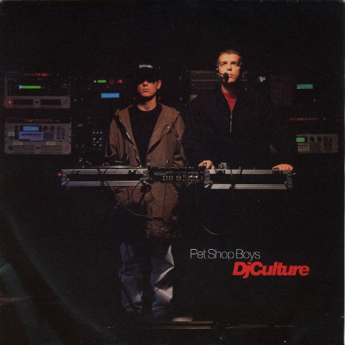 Vinyl / Pet Shop Boys - DJ Culture