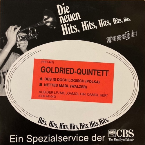 Vinyl / Goldried-Quintett* - Des Is Doch Logisch