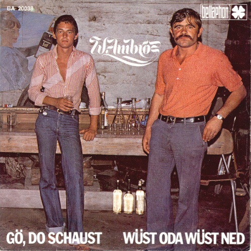 Vinyl / W. Ambros* - Gö, Do Schaust / Wüst Oda Wüst Ned