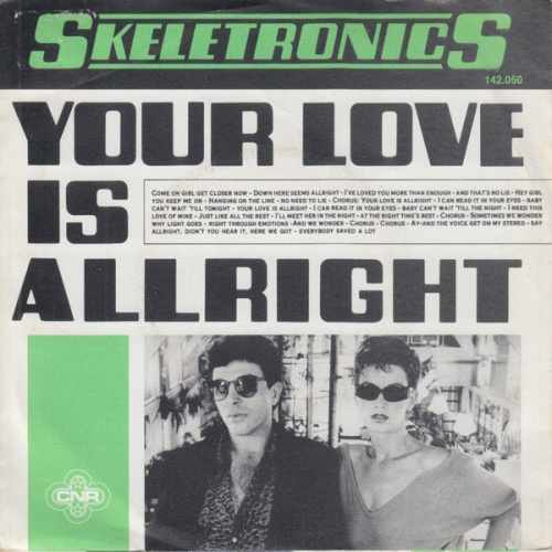 Vinyl / Skeletronics - Your Love Is Allright