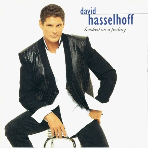 CD / David Hasselhoff - Hooked On A Feeling