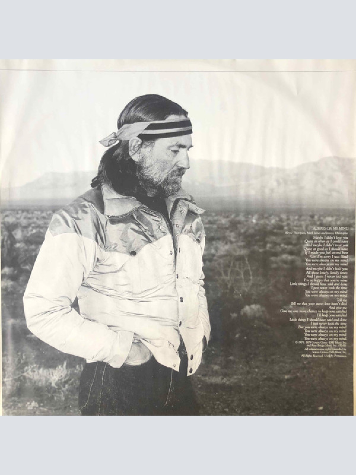 Vinyl / Willie Nelson - Always On My Mind