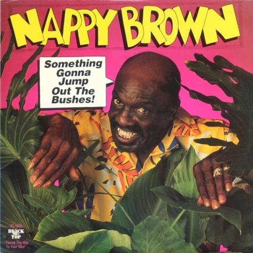 Vinyl / Nappy Brown - Something Gonna Jump Out The Bushes!