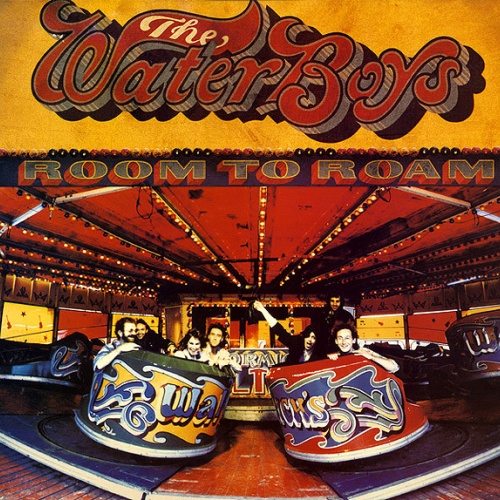 Vinyl / The WaterBoys - Room To Roam