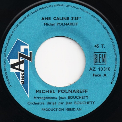 Vinyl / Michel Polnareff - Ame Caline