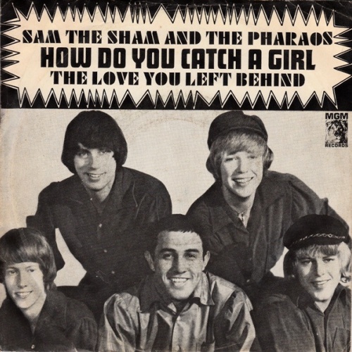 Vinyl / Sam The Sham And The Pharaohs* - How Do You Catch A Girl