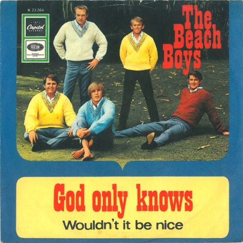Vinyl / The Beach Boys - God Only Knows