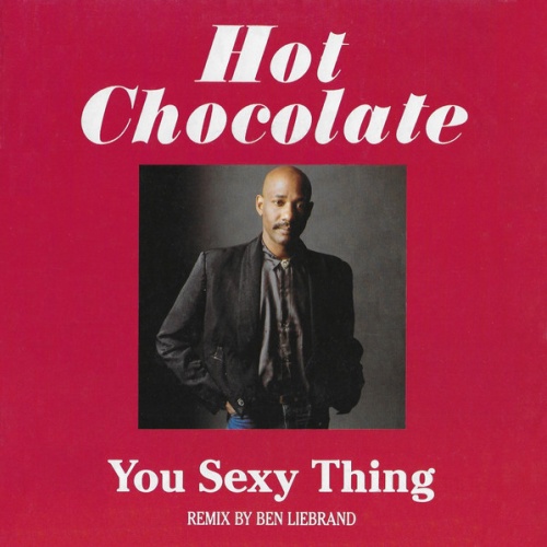 Vinyl / Hot Chocolate - You Sexy Thing - Remix By Ben Liebrand