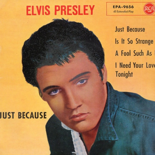 Vinyl / Elvis Presley - Just Because