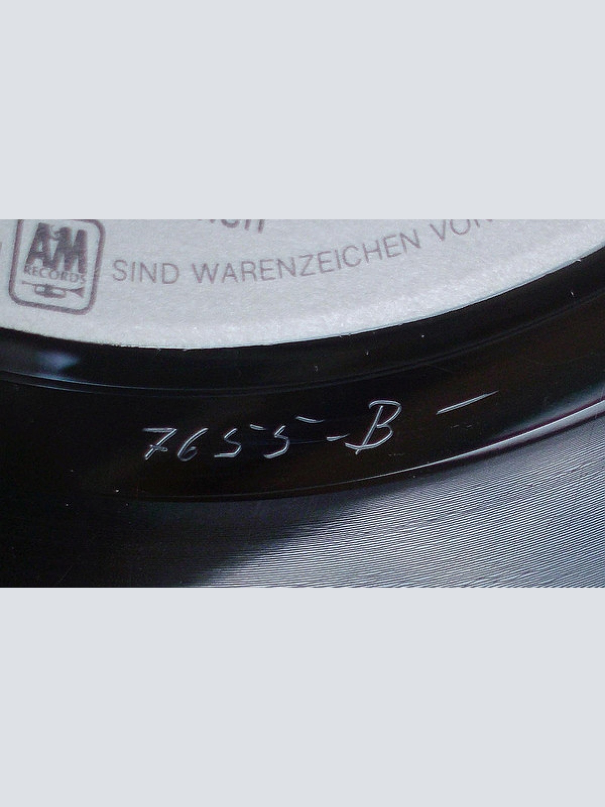 Vinyl / Tim Curry - Paradise Garage