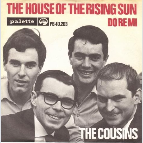 Vinyl / The Cousins - The House Of The Rising Sun
