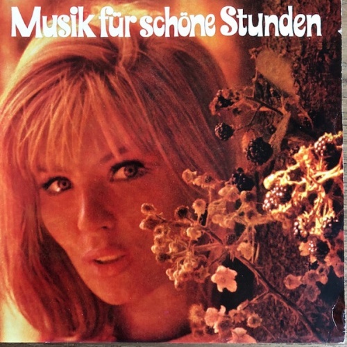 Vinyl / Unknown Artist - Musik Für Schöne Stunden