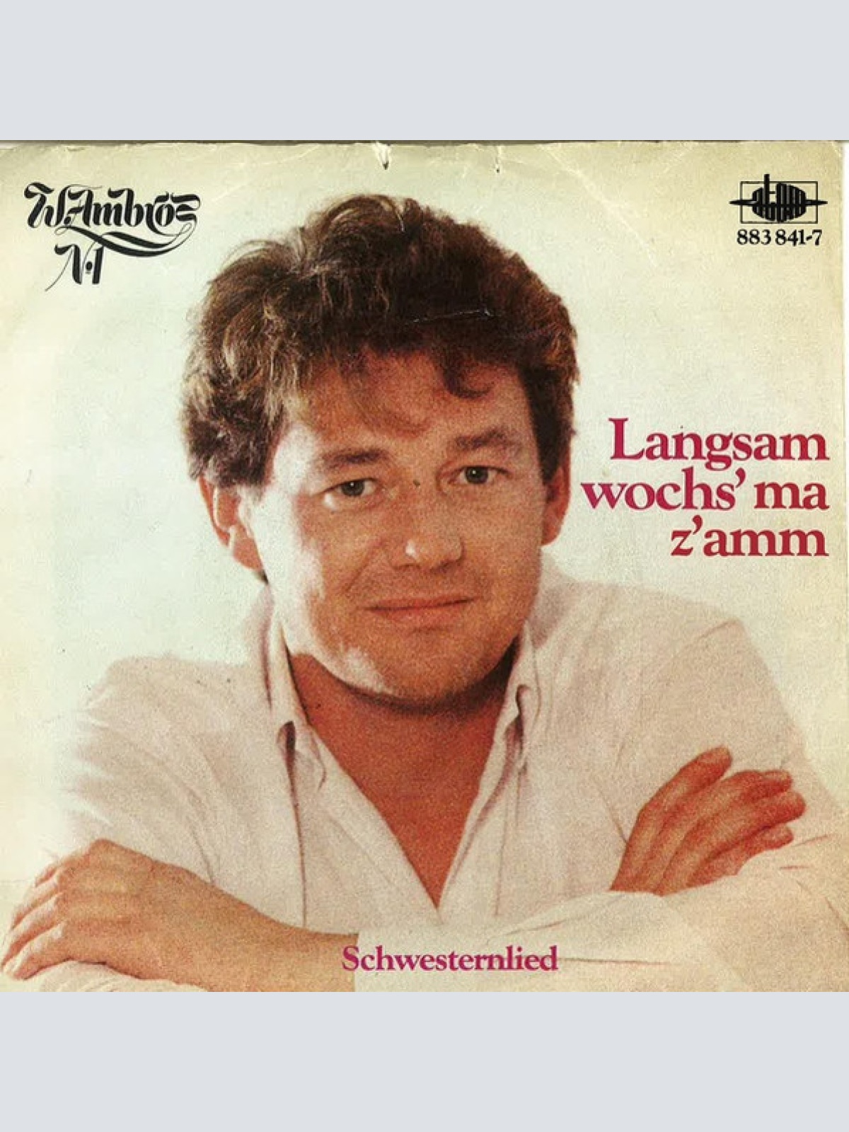 Vinyl / W. Ambros*, № 1* - Langsam Wochs' Ma Z'amm