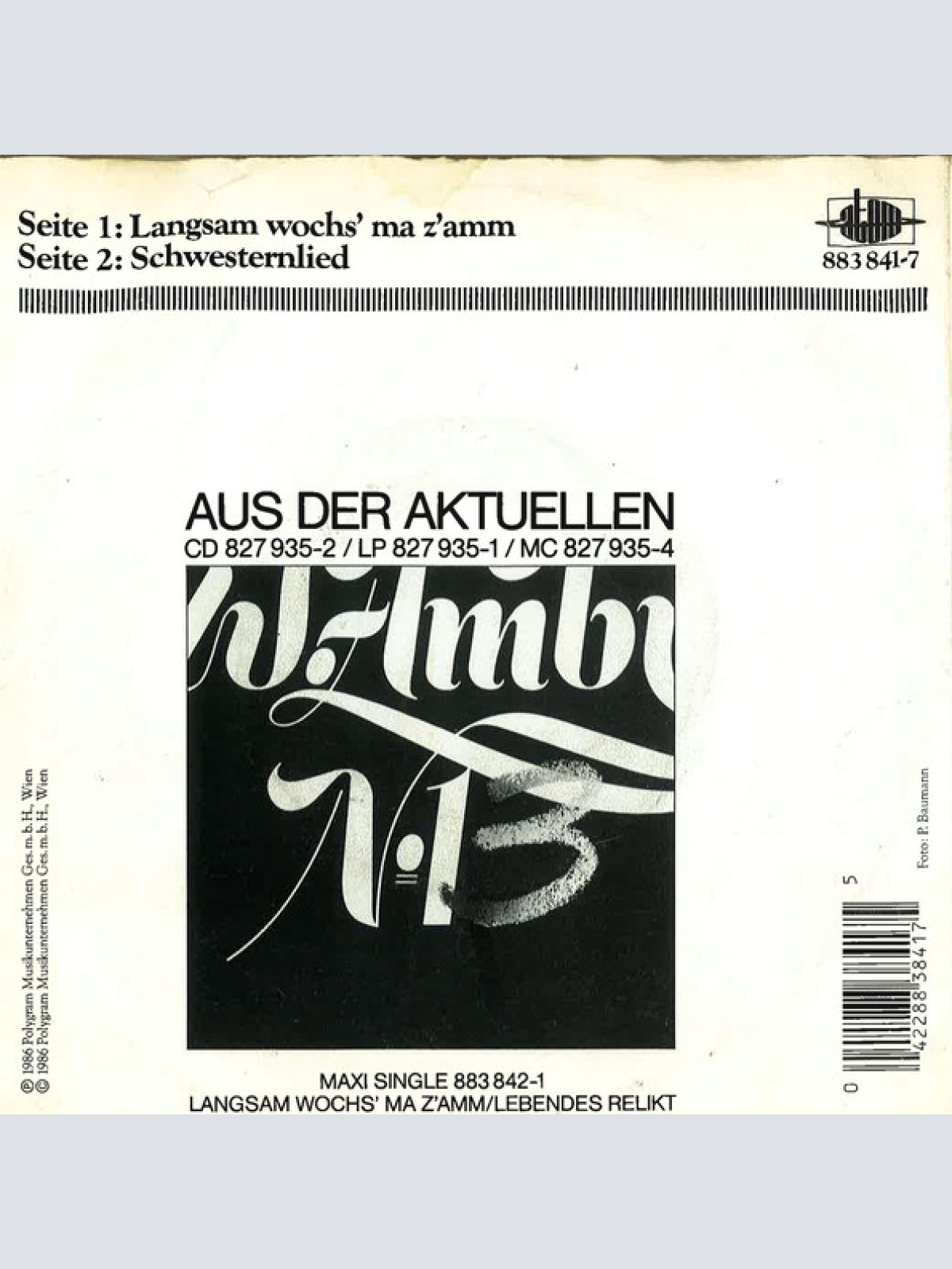 Vinyl / W. Ambros*, № 1* - Langsam Wochs' Ma Z'amm