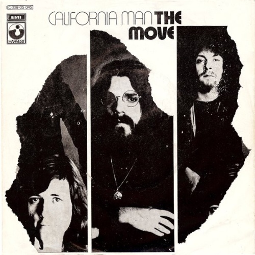 Vinyl / The Move - California Man
