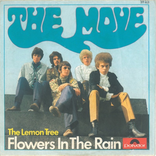Vinyl / The Move - Flowers In The Rain