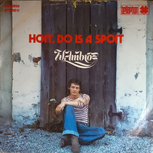 Vinyl / W. Ambros* - Hoit, Do Is A Spoit