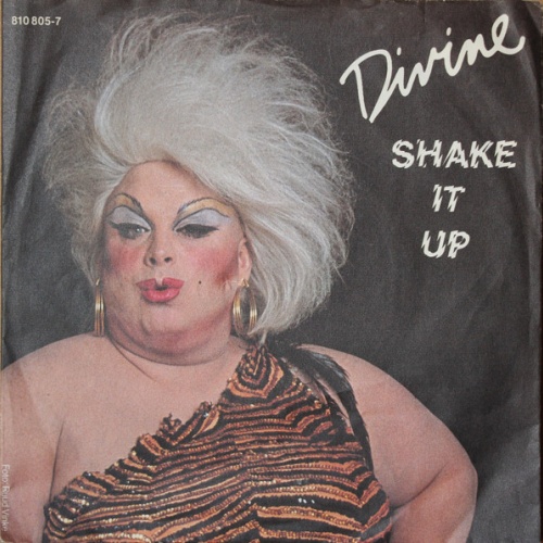 Vinyl / Divine - Shake It Up